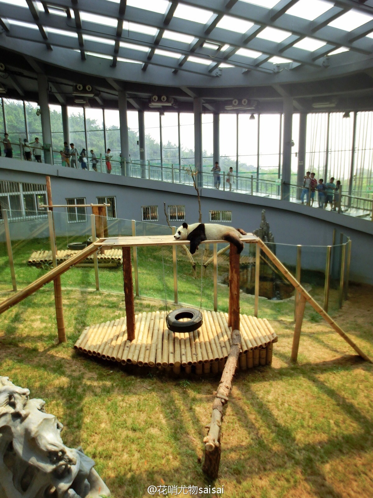 花哨尤物saisai的微博列表微女郎